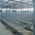 Design agriculturial glass steel structure greenhouse